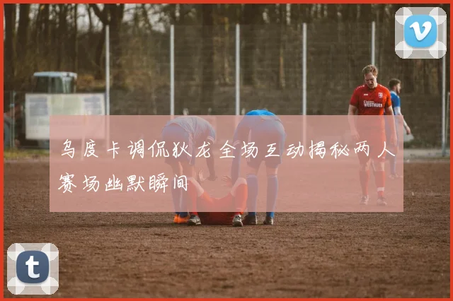 乌度卡调侃狄龙全场互动揭秘两人赛场幽默瞬间