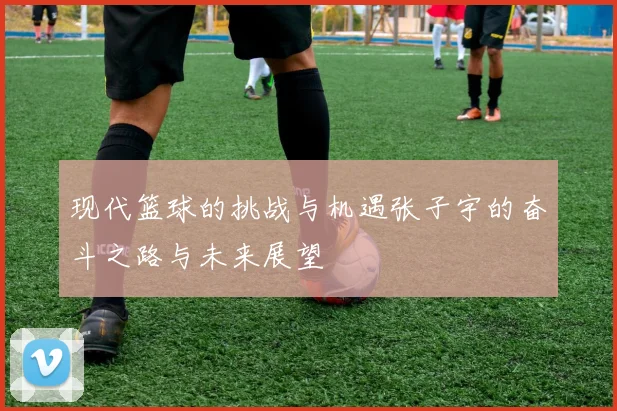 现代篮球的挑战与机遇张子宇的奋斗之路与未来展望