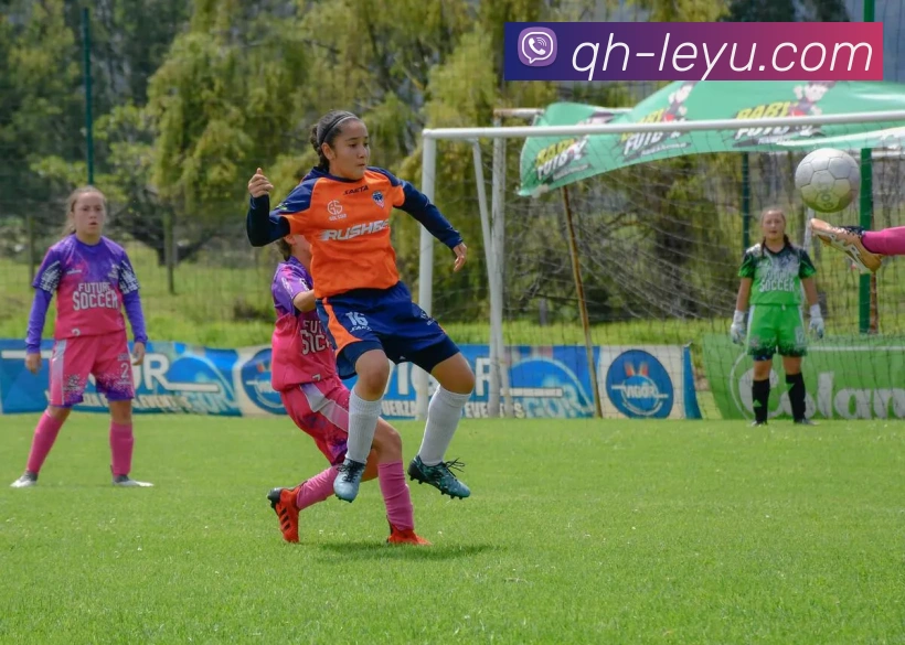 乐鱼体育APP 封面图